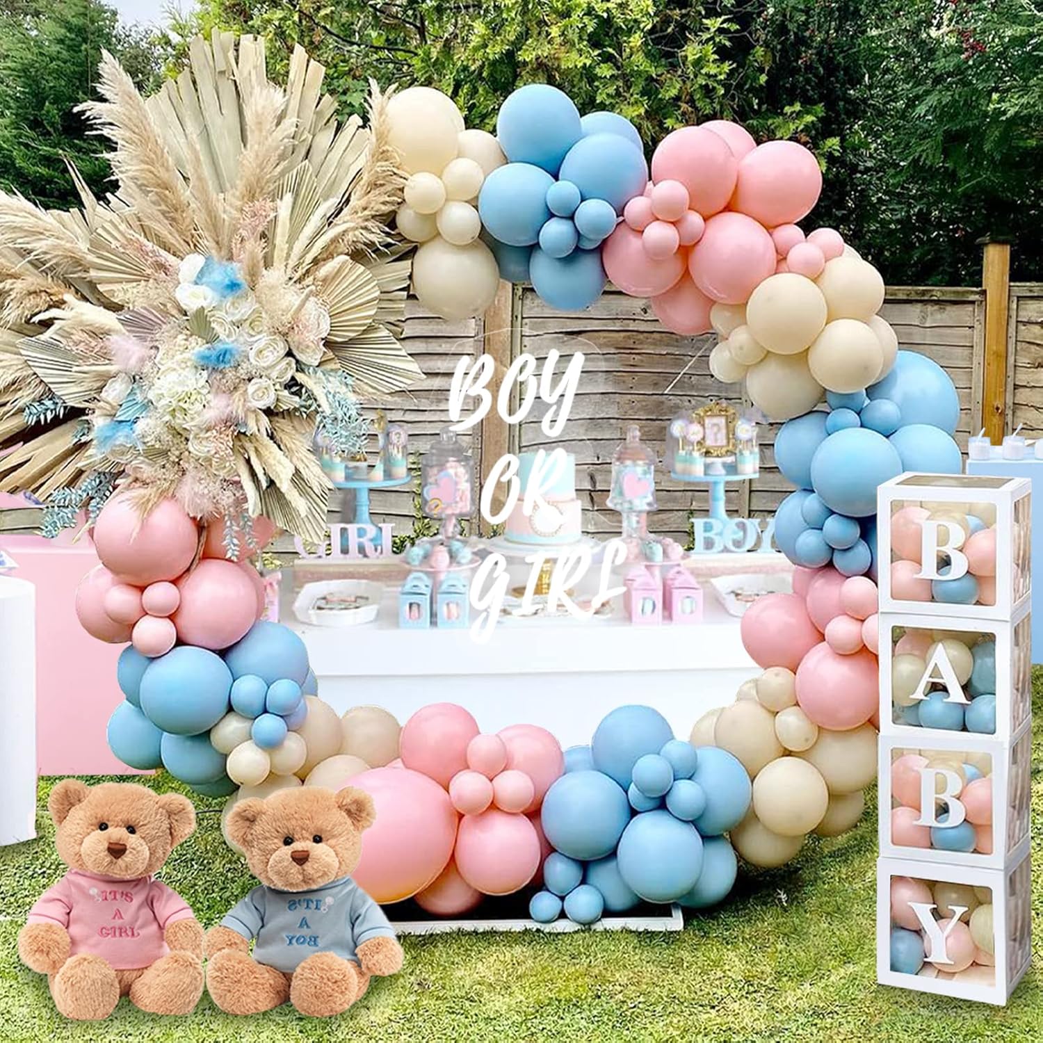 Gender Reveal Decorations